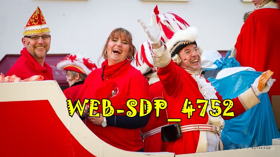 WEB SDP 4752