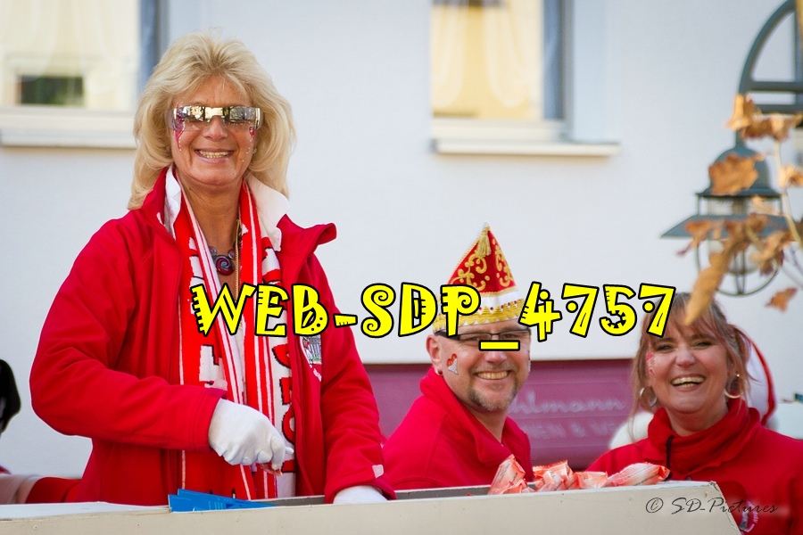 WEB SDP 4757