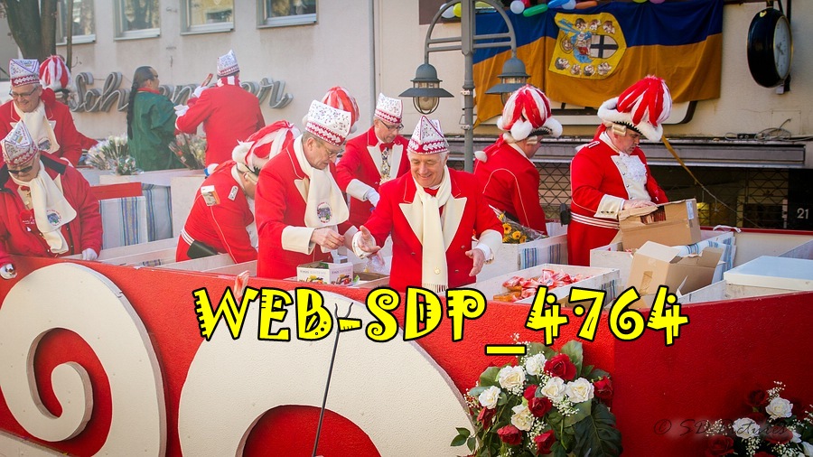 WEB SDP 4764