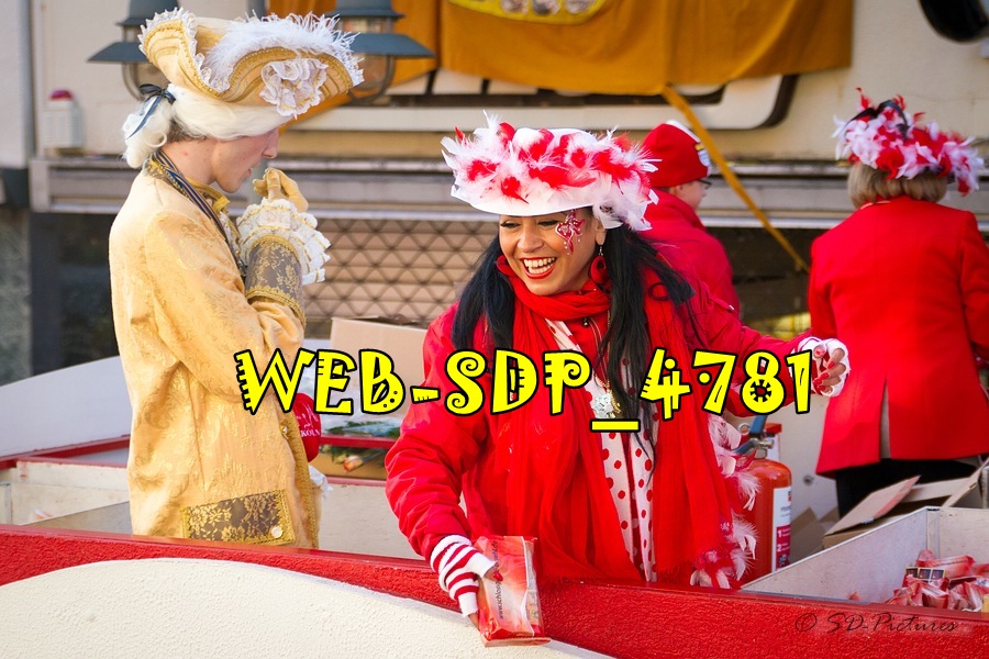 WEB SDP 4781