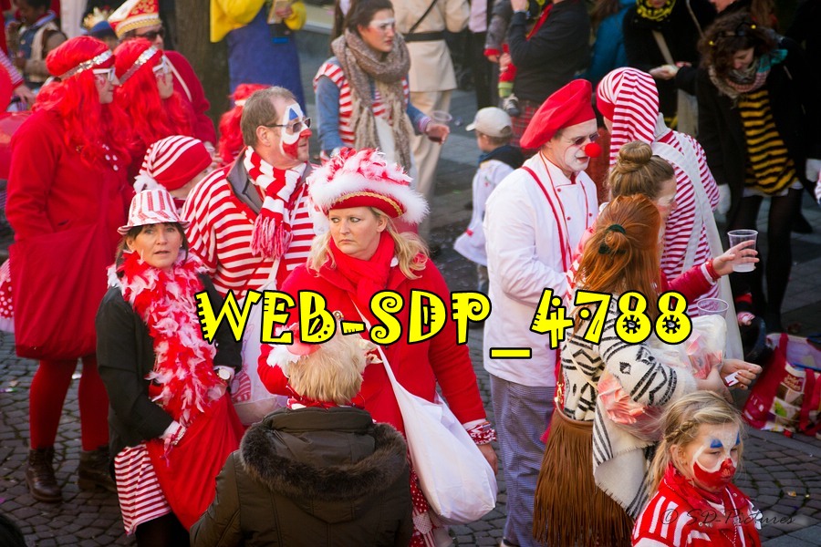 WEB SDP 4788