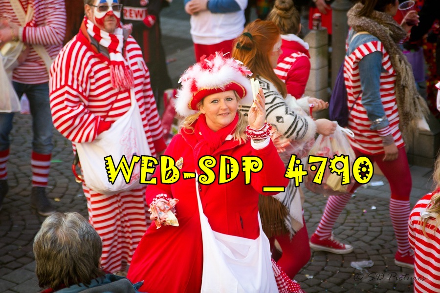 WEB SDP 4790