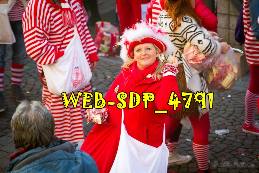 WEB SDP 4791