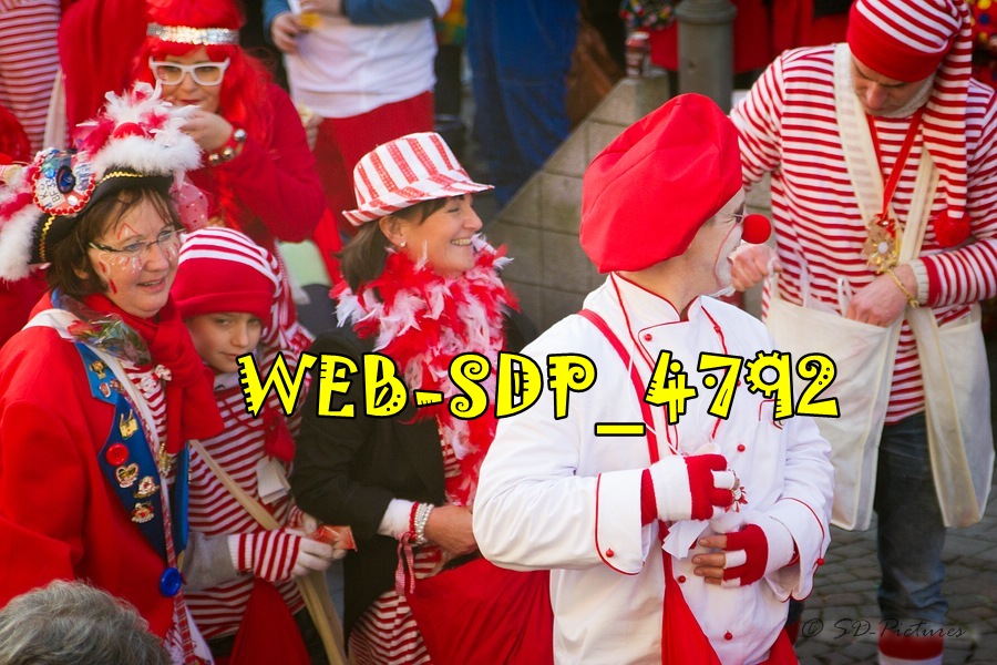 WEB SDP 4792