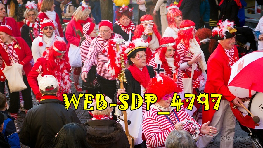 WEB SDP 4797