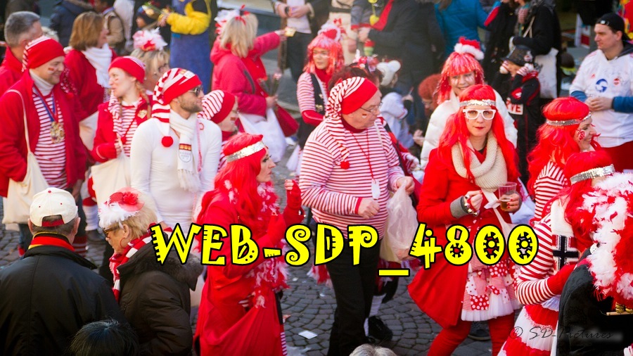 WEB SDP 4800