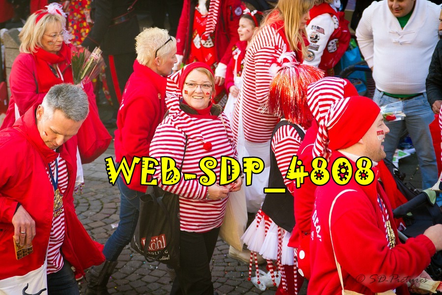 WEB SDP 4808