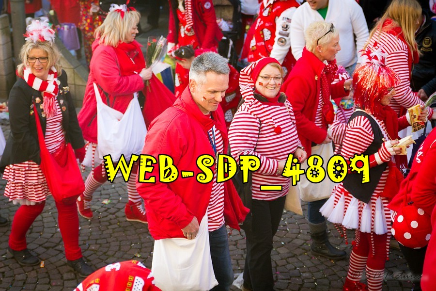 WEB SDP 4809