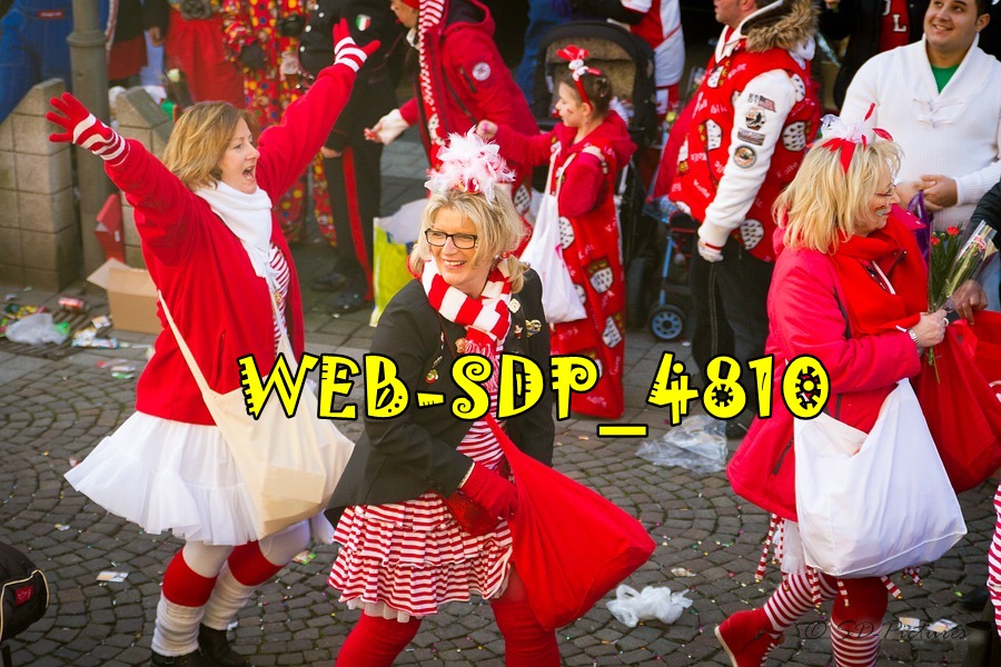 WEB SDP 4810