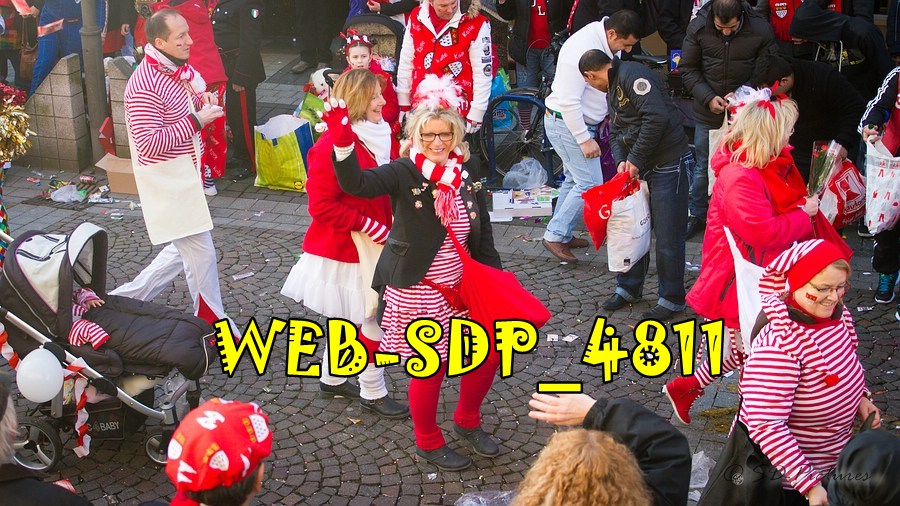 WEB SDP 4811