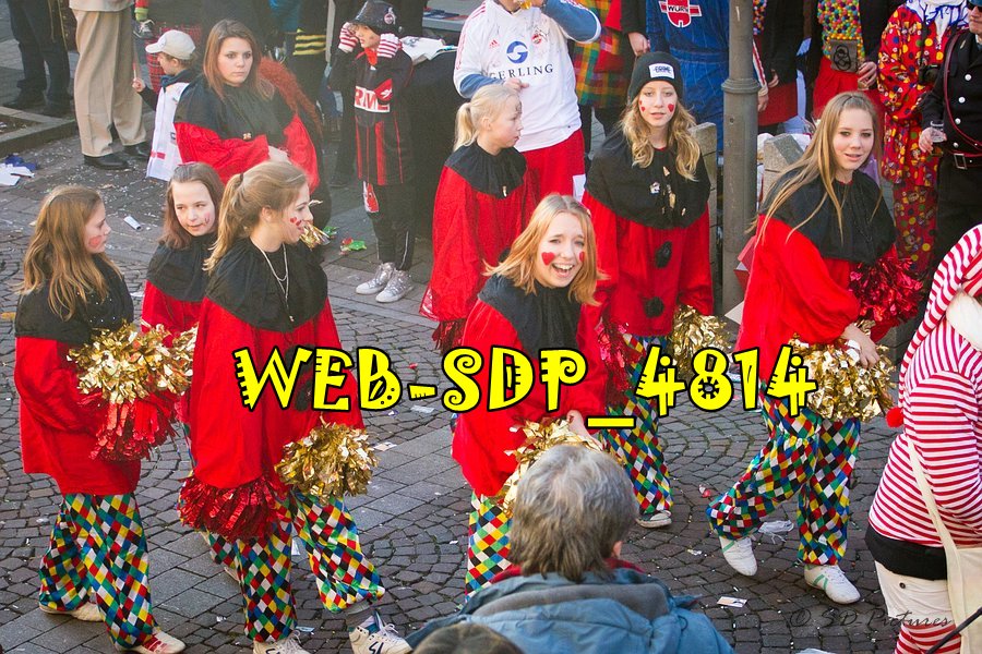 WEB SDP 4814