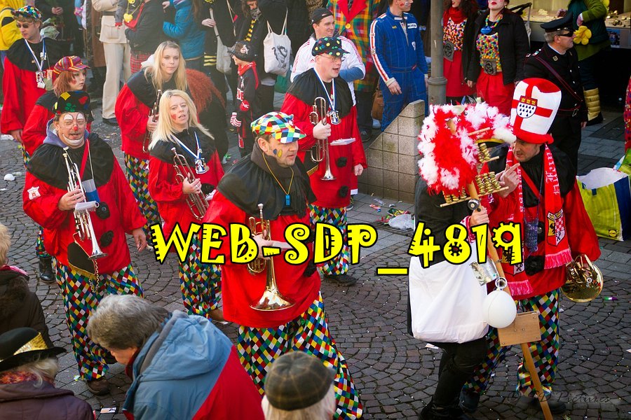 WEB SDP 4819