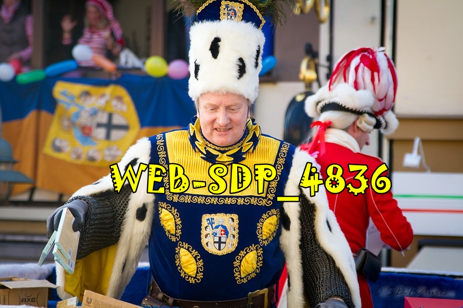 WEB SDP 4836