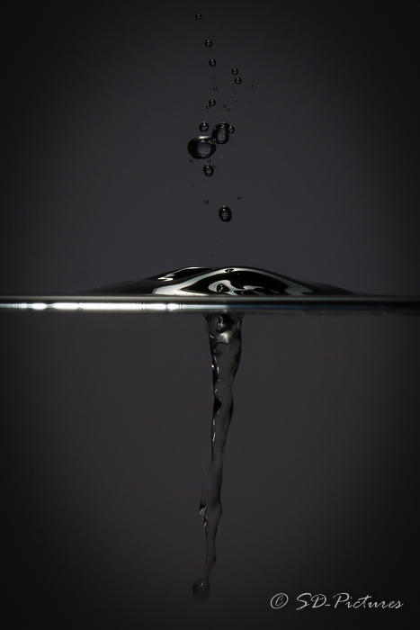 WEB SDP 0234